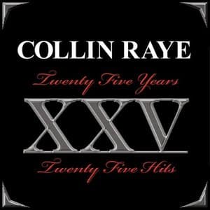 Twenty Five Years - Twenty Five Hits