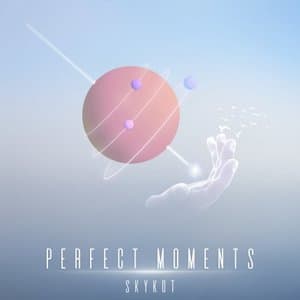 Perfect Moments