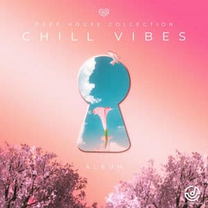 CHILL VIBES