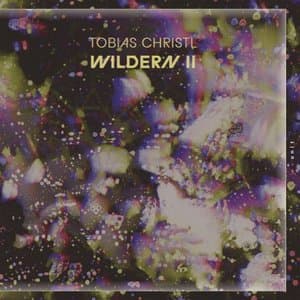 WILDERN II