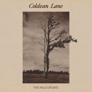 The Wild Grows