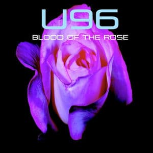 Blood of the Rose