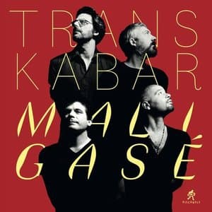 Maligase