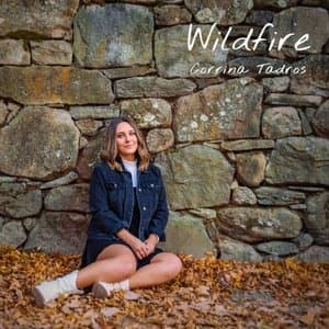 Wildfire