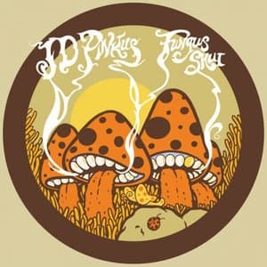 Fungus Shui