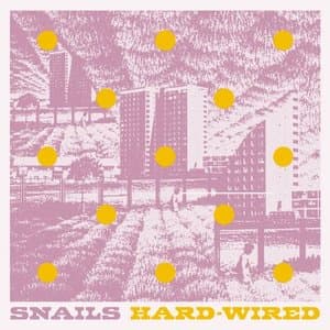 Hard Wired