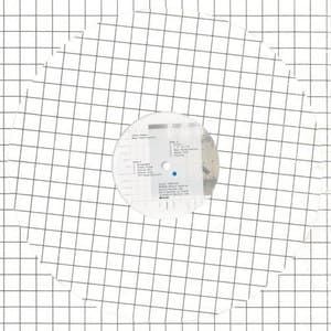 Nept Polarisation