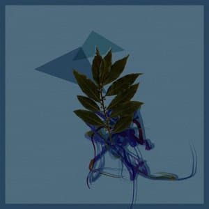 Refusal & Denial