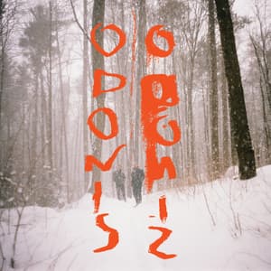 Odonis Odonis