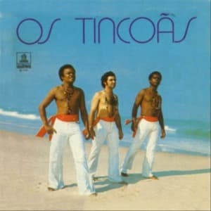 Os Tincoas