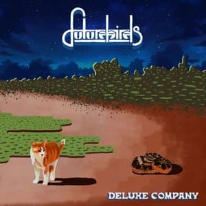 Deluxe Company