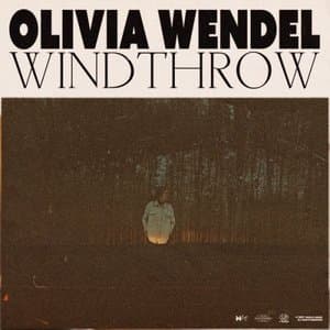 Windthrow