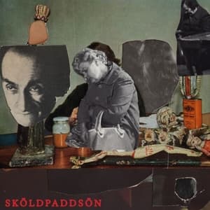 Skoldpaddson