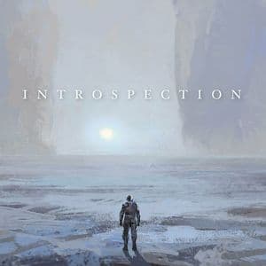 Introspection