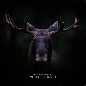 Whiplash