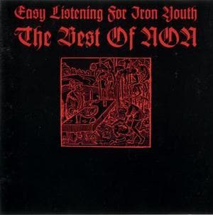 Easy Listening For Iron Youth. The Best Of Non