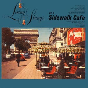 At a Sidewalk Cafe