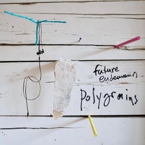 Future Endeavours