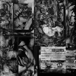 Odious