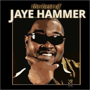 The Best Of Jaye Hammer