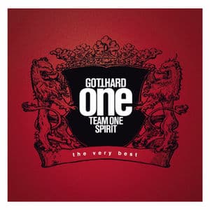 One Team One Spirit