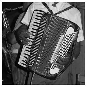 Down on the Bayou