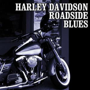 Harley Davidson Roadside Blues