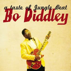 A Taste of Jungle Beat