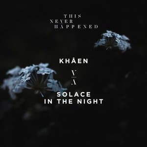 Solace in the Night