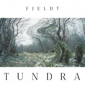 Tundra
