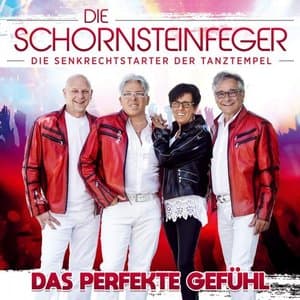 Das perfekte Gefuhl