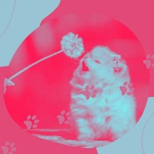 Alluring Background for Relaxing Your Dog