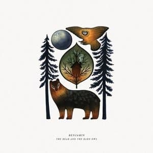The Bear And The Barn Owl