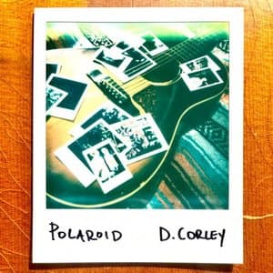 Polaroid