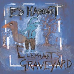 Elephants Graveyard