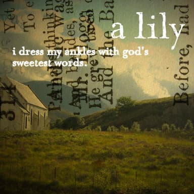 I Dress My Ankles With God's Sweetest Words [EP]