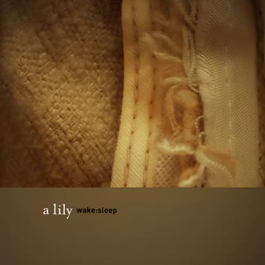 Wake:Sleep