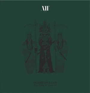 The Haze Of Dust LP