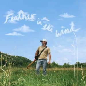 Feather in the Wind