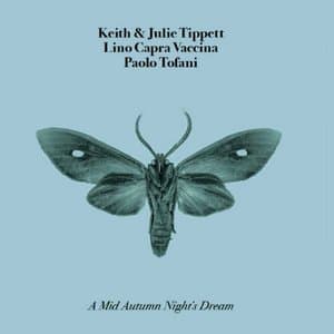 A Mid Autumn Nights Dream