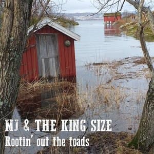 Rootinout the Toads
