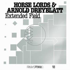 FRKWYS Vol. 18: Extended Field