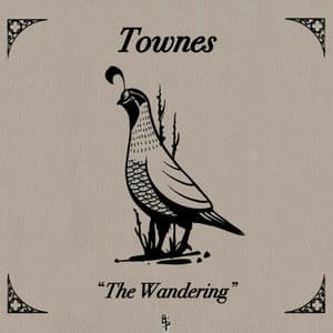The Wandering