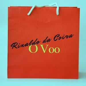 O Voo
