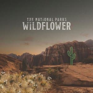 Wildflower