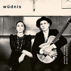Wudnis