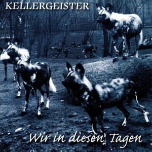 Wir in diesen Tagen