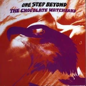 One Step Beyond