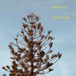 Punch Line