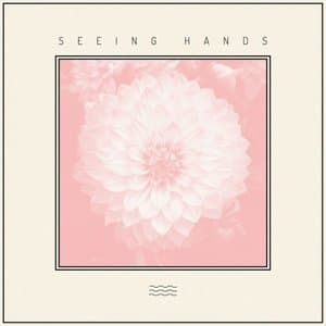 Seeing Hands